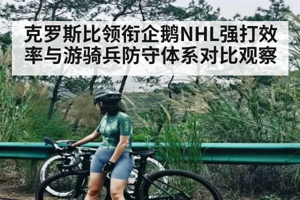 克罗斯比领衔企鹅NHL强打效率与游骑兵防守体系对比观察